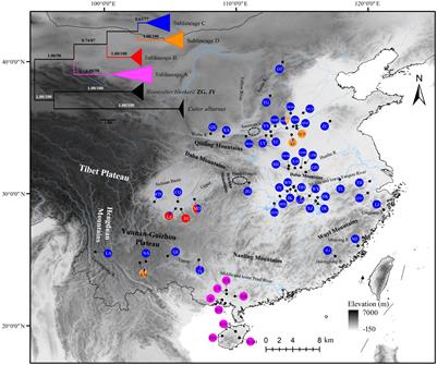 Reanalysis on Phylogeographic Pattern of Sharpbelly Hemiculter leucisculus (Cyprinidae: Cultrinae) in China: A Review and the Implications for Conservation